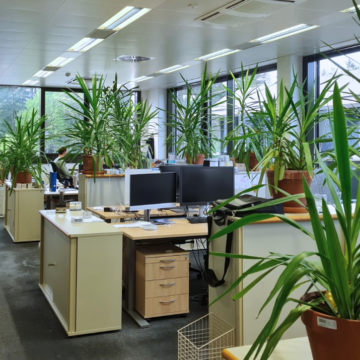 Office rooms with many plants in our Austrian STRATEC site