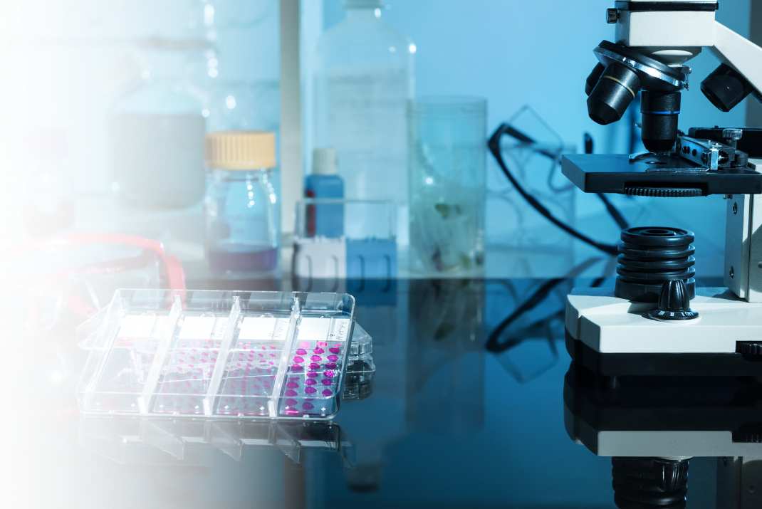 Testing of samples for tissue diagnostics with a microscope in the laboratory at STRATEC