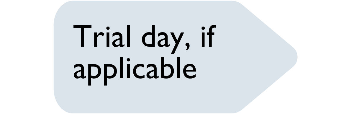 Application process graphic – trial day